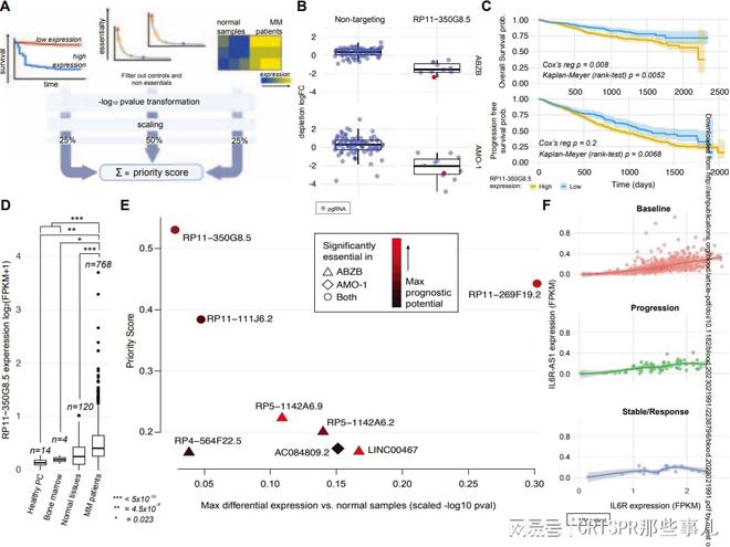 CRISPR筛选技术在多发性骨髓瘤治疗靶点研究中的作用(图3)