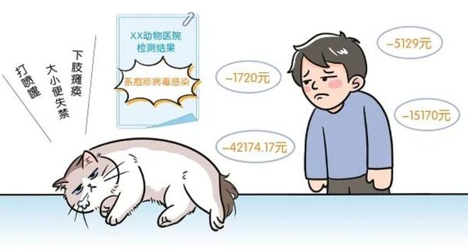 3万买猫后续治疗费6万法院判了！(图3)