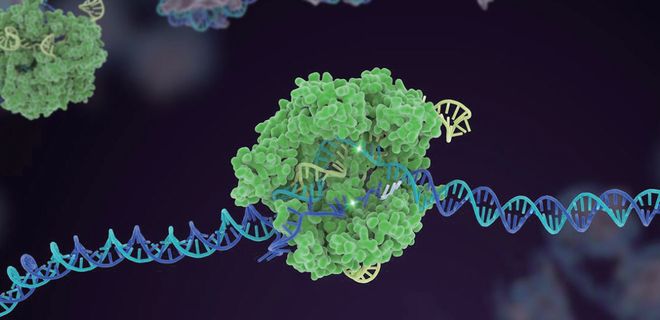 押宝CRISPR和人工智能！张泽民院士团队的研究方向开始更新了！(图2)