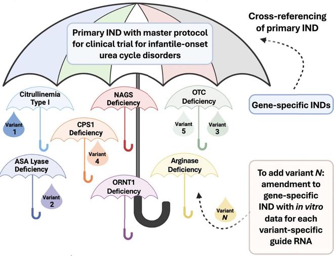 美国基因编辑疗法迈入“快车道”为罕见病定制药研发开绿灯(图2)